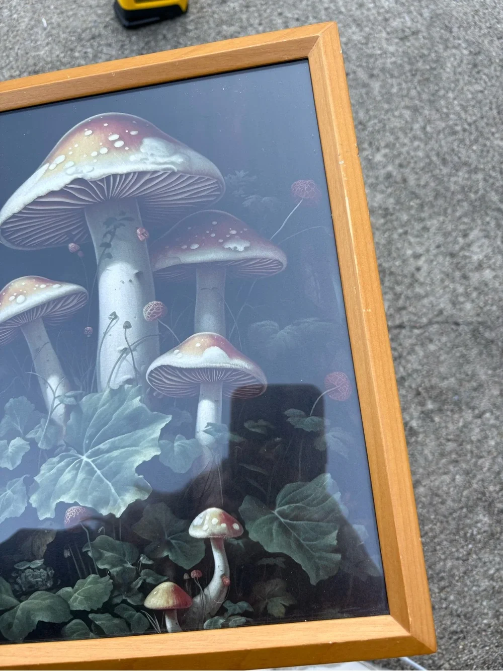 Vintage framed art print dark woodland scene dominated by large red mushrooms - Picture 6 of 11